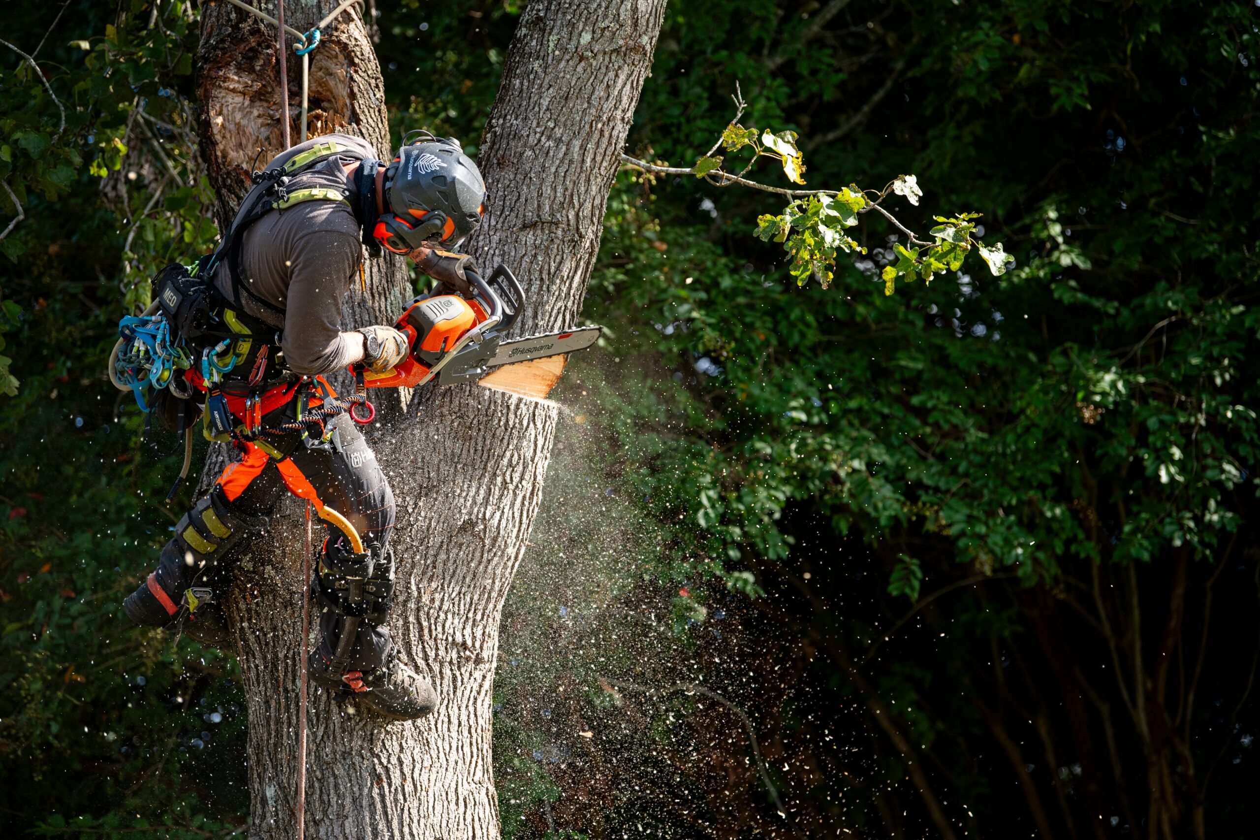 Husqvarna 564 XPG töös Husqvarna 564 XPG töös